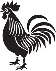 rooster isolated on white background