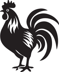 rooster isolated on white background