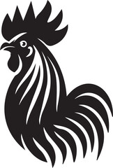 rooster isolated on white background