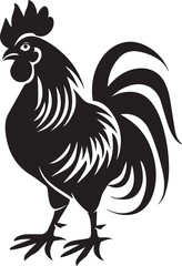 rooster isolated on white background