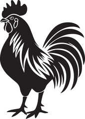 rooster isolated on white background