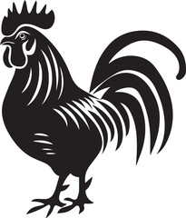 rooster isolated on white background