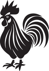 rooster isolated on white background