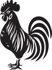 rooster isolated on white background