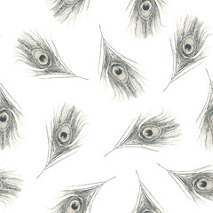 Pattern allover design texture of summer theme peacock feathers used for textiles, wallpapers, background