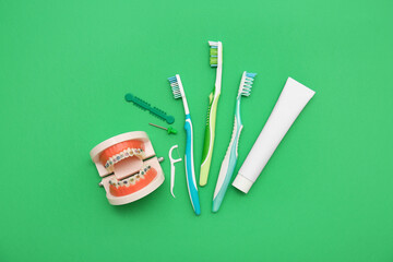 Jaw model with toothbrushes, toothpaste and floss toothpick on green background