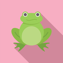 Cartoon green frog sitting with long shadow on pink background