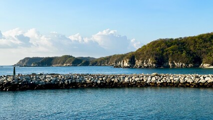 Large group of birds on a rock wall by a body of water