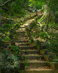 Steps up the mountain in forest