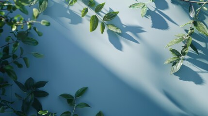 A small green plant grows on a blue painted wall