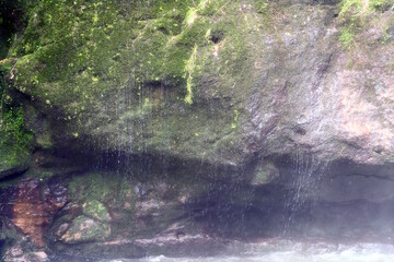 water beads off the moss covered rock