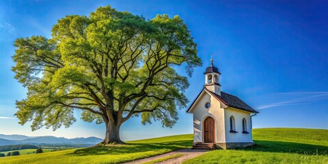 Charming chapel in Kellerhof nestled under a majestic oak tree, with clear blue sky overhead , Chapel, Kellerhof