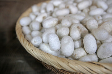 Close-up of stacked white silkworm cocoons on bamboo basket at Hamchang Silk of Hamchang-eup near Sangju-si, South Korea
