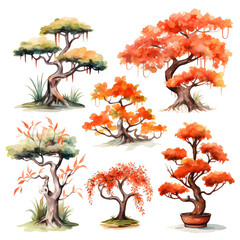 Fototapeta premium Watercolor bonsai trees on a white background