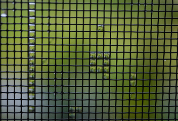 網戸についた雨水と四角の模様