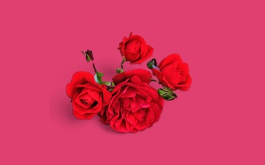 Red rose on pink background negative spacing.