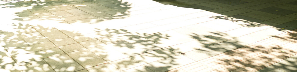 In spring, the afternoon sun shines through the leaves, casting dappled shadows on the ground.