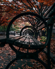 New York Street View Unique Perspective Shot