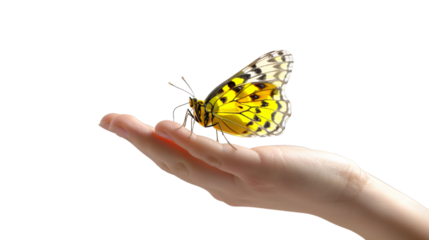 Yellow Butterfly on Hand: Nature's Gentle Touch