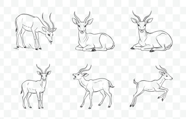 Print Comprehensive Antelope Line Art Vector Collection for Designers and Creators