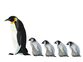 ペンギンの親子（5羽）