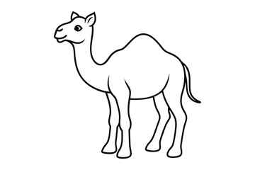 Fototapeta premium Camel line art vector silhouette 