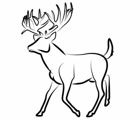 Deer vector, line drawing side view illustration isolated on white background