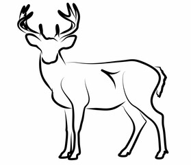 Deer vector, line drawing side view illustration isolated on white background