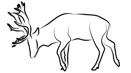 Deer vector, line drawing side view illustration isolated on white background