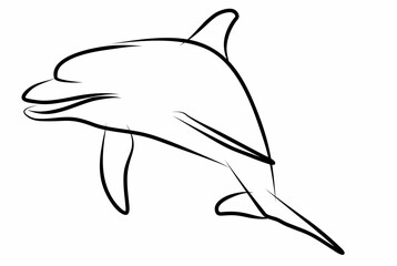 Dolphin vector, line drawing side view illustration isolated on white background