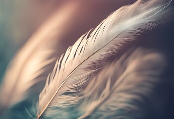 feather texture beautiful art abstract texture other pattern background background chicken bird beautiful feather amber for