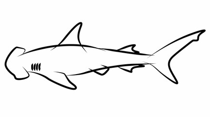 Shark vector, line drawing side view illustration isolated on white background