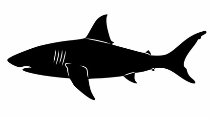shark silhouette vector white background