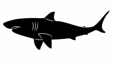 shark silhouette vector white background
