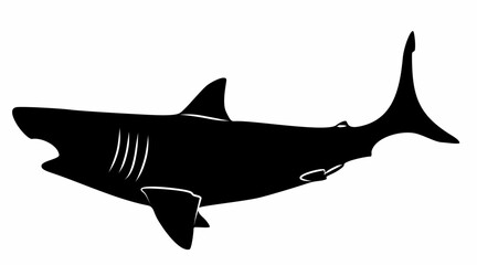 shark silhouette vector white background