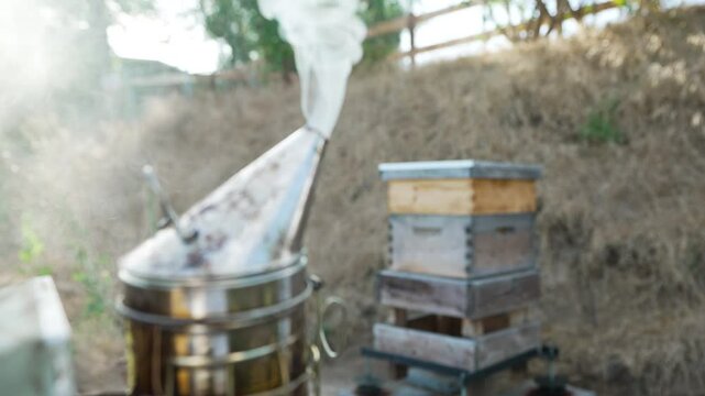 smoker getting set up for the day. revealing hive in the background.