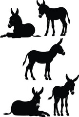 Donkey silhouette vector illustration set collection black on white background