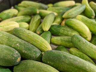 A close-up of a stack of vibrant green cucumbers showcases their fresh, crisp texture and rich color.
