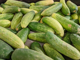 A close-up of a stack of vibrant green cucumbers showcases their fresh, crisp texture and rich color.