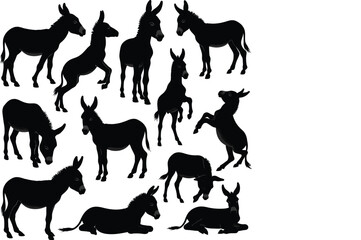 Donkey silhouette vector illustration set collection black on white background