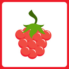 respberry fruit healthy. food fruit icon concept isolated . flat cartoon style