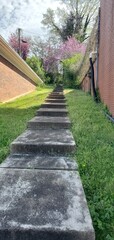Concrete path stairway leading up between buildings to a private yard sanctuary, in a urban setting 