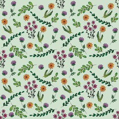  Wild flower seamless pattern summer meadow flowers