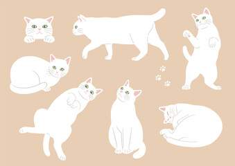 かわいい猫のさまざまなポーズのイラスト　白猫　バリエーション