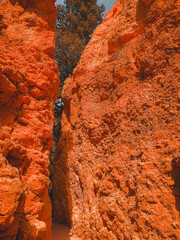 the iconic hoodoos of Bryce Canyon, towering red rock spires set against a vibrant blue sky with scattered clouds. The dramatic formations highlight the unique geological features and natural beauty o
