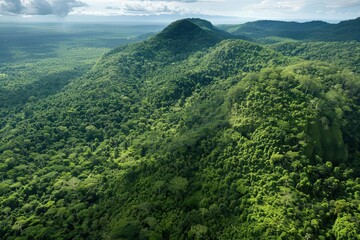 Fototapeta premium Aerial view of lush green forested mountains under a partly cloudy sky, showcasing the beauty of nature and wilderness.