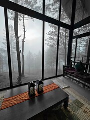 view from the window