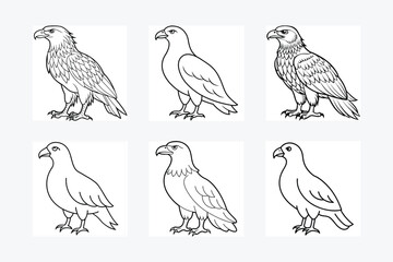 Golden Eagle full body vector illustrator, Hawk black icon, Hawk silhouette.