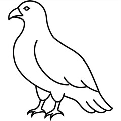 Golden Eagle full body vector illustrator, Hawk black icon, Hawk silhouette.