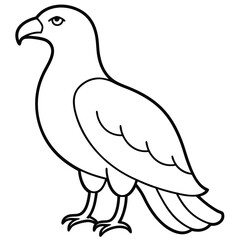 Obraz premium Golden Eagle full body vector illustrator, Hawk black icon, Hawk silhouette.